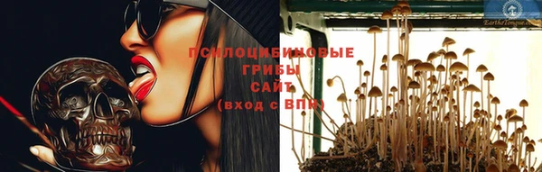 крисы Алексеевка