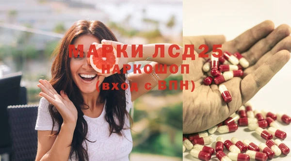 мяу мяу мука Алексин