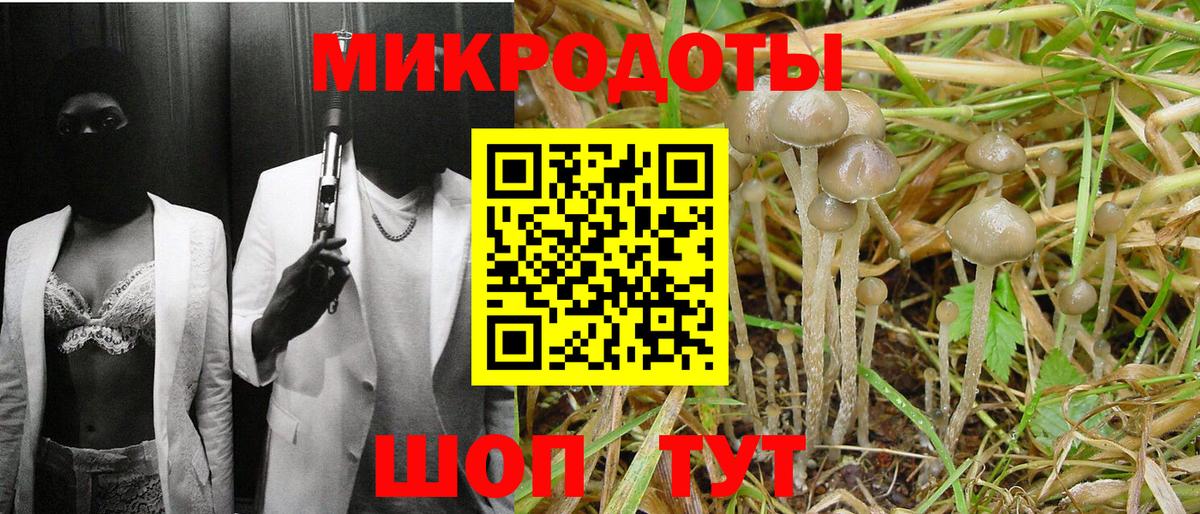 магазин продажи   Вход с VPN  Лесной  Галлюциногенные грибы Psilocybe 