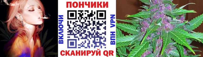 Конопля SATIVA & INDICA Лесной