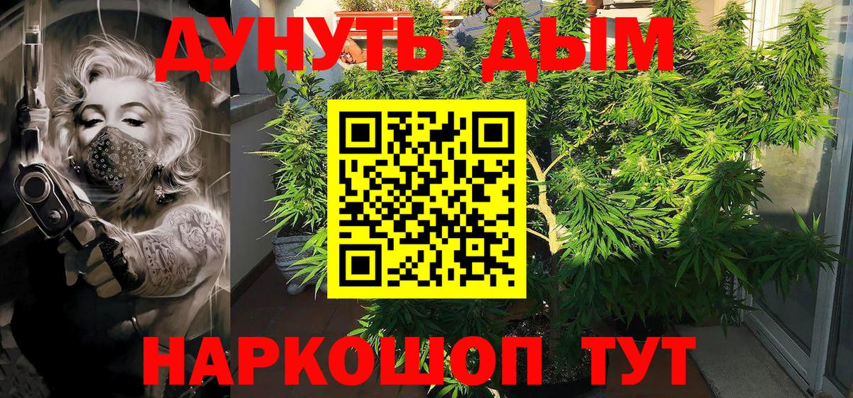 Лесной  Каннабис THC 21%  Канабис SATIVA & INDICA  Вход с VPN 